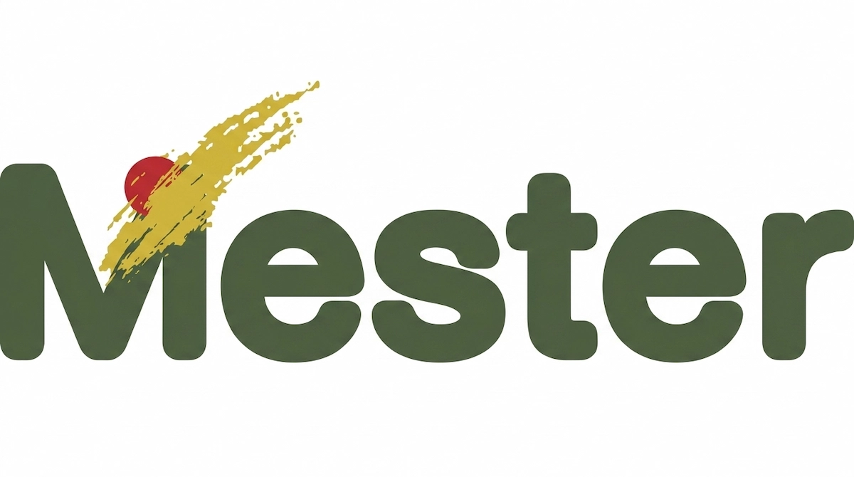 Mester school language in Salamanca